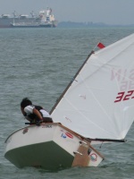 SIN 3296